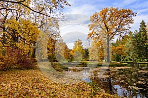 Catherine park lamdscape in autumn, Tsarskoe Selo Pushkin, Saint Petersburg, Russia