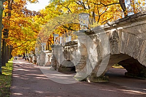 Catherine park in mellow autumn, Tsarskoe Selo Pushkin, Saint Petersburg, Russia