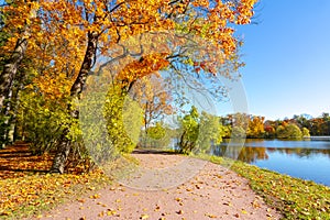 Catherine park in mellow autumn, Tsarskoe Selo Pushkin, Saint Petersburg, Russia