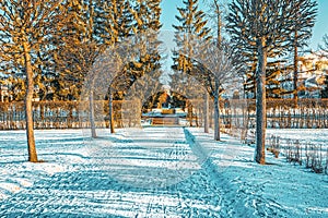Catherine Park near the palace of the same name, Tsarskoye Selo Pushkin. Saint Petersburg. Russia