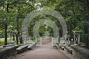 Catherine Park in Tsarskoye Selo 1045.