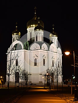 Catherines Cathedral in Pushkin view from the South-West