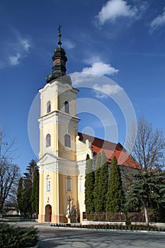 Catholic Church