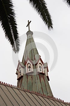 Catholic church and palm leaves