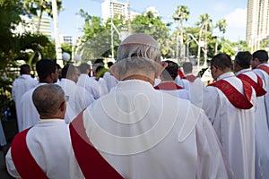 Catholic church priests attend a Palm Sunday mass
