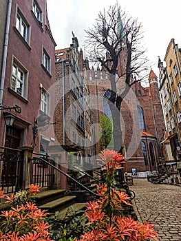 The Catholic Church of St. Mary, or Mariacka Basilica, is the largest brick building in the world.  Gdansk, Poland photo