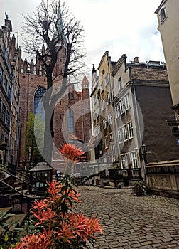 The Catholic Church of St. Mary, or Mariacka Basilica, is the largest brick building in the world.  Gdansk, Poland photo