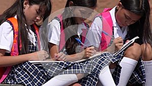 Catholic School Children Writing Wearing School Uniforms