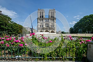 CathÃ©drale Notre-Dame de Paris