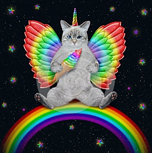 Caticorn ashen with color wings on rainbow