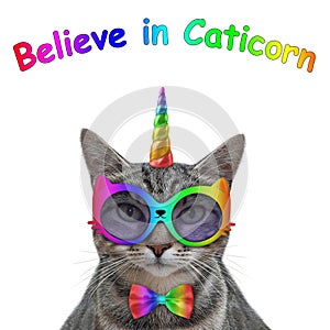 Caticorn gray in bow tie and glasses 2