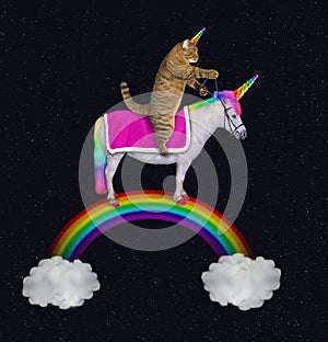 Caticorn rides an unicorn on the rainbow