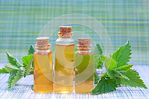 Catmint essential oil in  beautiful bottle on table