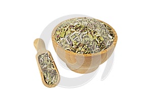 Catnip herb in latin - Nepeta cataria in wooden bowl and scoop isolated on white