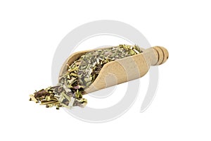 Catnip herb in latin - Nepeta cataria in wooden scoop isolated on white background.