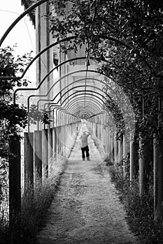 A man takes a picture under a highway viaduct photo