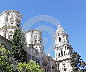 Catolic cathedral with natural foliage photo
