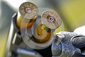Catridges in shotgun barrel photo