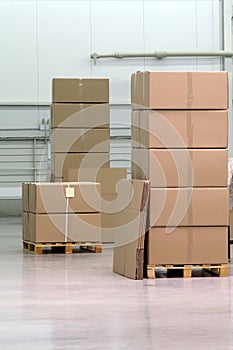 Catron boxes in warehouse