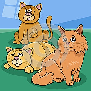 cats animal characters at home cartoon illustration