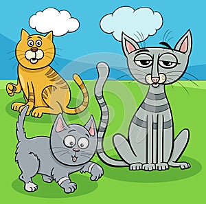 cats animal characters in the meadow cartoon illustration