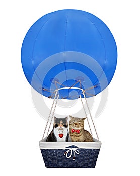 Cats in a blue hot air balloon 2