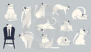 Cats body language. Cute kitten emotions, cartoon domestic cats showing emotions and mood, pet feline characters emotion