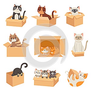 Cats in boxes. Cute stickers with cat sitting, sleeping and playing in cardboard box. Funny hiding kittens. Adopt