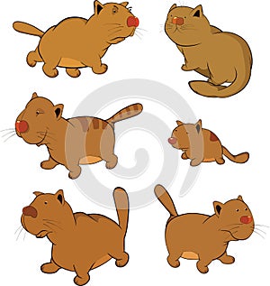 Cats.Clip-Art. Cartoon