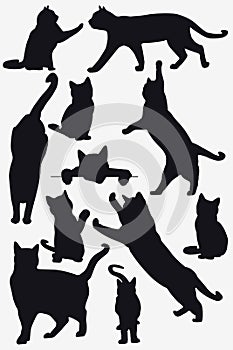 Cats Collection - Isolated Vector Silhouette