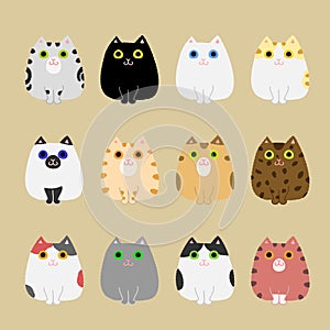 Cats coloring variations