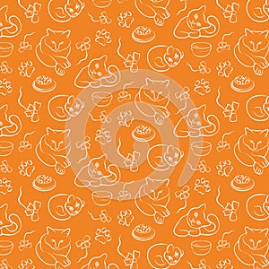 Cats and cute kittens.