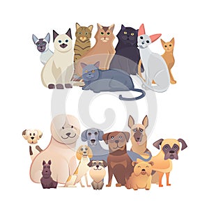 Cats and dogs border set, front view. Pets collection of cartoon illustrations