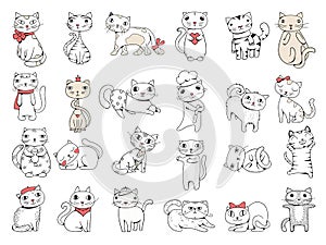 Cats. Domestic pets funny hand drawn animals vector collection