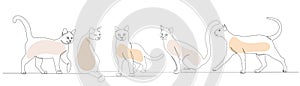 Cats drawing by one continuous line, sketch