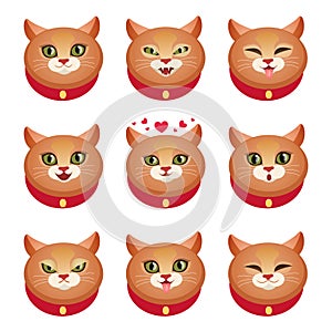 Cats emotions set vector design illustration