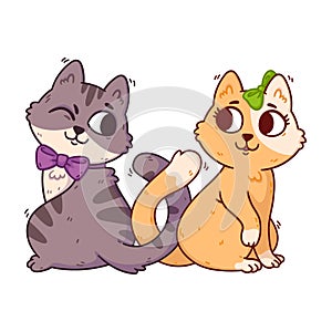 Cats fall in love and knot their tails. 14 February postcard with domestic animals. Romantic Valentines Day greeting card of