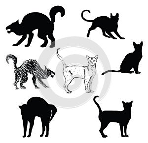 Cats feline black silhouettes