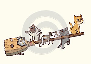 Cats flying on a broomstick â€“ vector cartoon