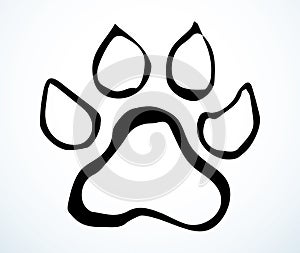 Cats foot print. Vector drawing