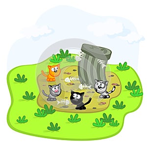 Cats and garbage pit