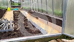 Cats in the greenhouse. Preparing the greenhouse for winter. Dug up beds and sawdust furrows