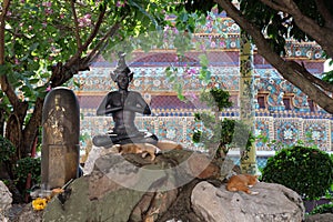 Cats have a rest near the sculpture of a meditating person in the territory of a Buddhist monastery