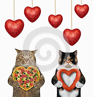 Cats holding heart shaped food