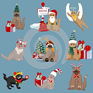 Cats in holyday christmas hats and costumes