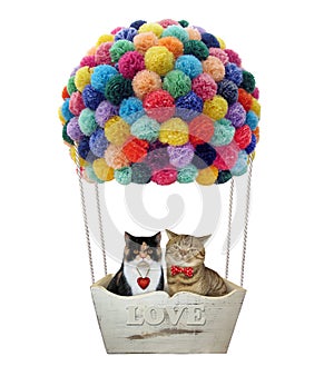 Cats in a hot air balloon