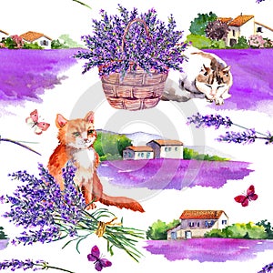 Cats, lavender flowers in basket, bouquet and summer butterflies. On background rural houses, violet floral fields