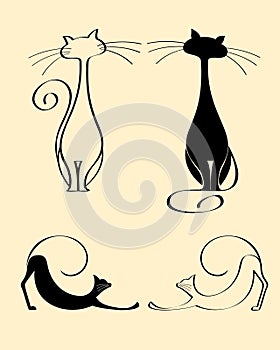 Cats. Look through my portfolio to find more image