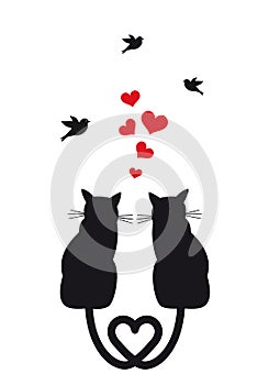 Cats in love with hearts and birds, vector