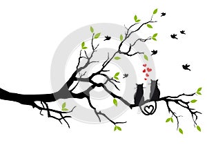 Gatti innamorato sul un albero vettore 